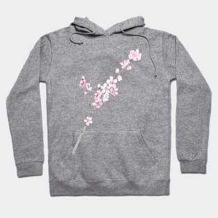 Peach Blossom, or Money Hoodie